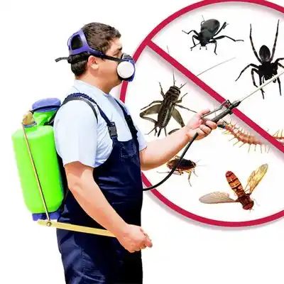pest control Elton